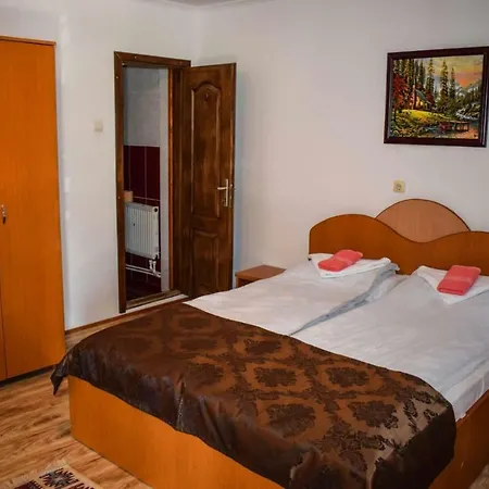 Bed & Breakfast Pensiunea Bogas *