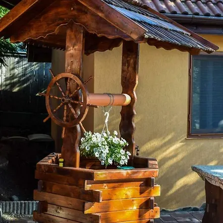 Bed & Breakfast Pensiunea Bogas *