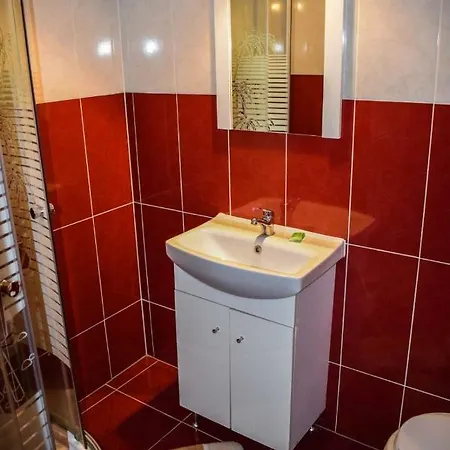 Bed & Breakfast Pensiunea Bogas